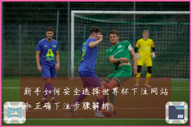 新手如何安全选择世界杯下注网站和正确下注步骤解析