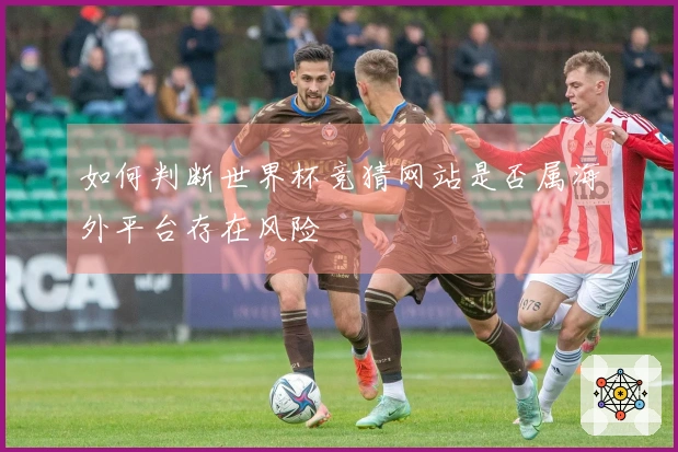 如何判断世界杯竞猜网站是否属海外平台存在风险