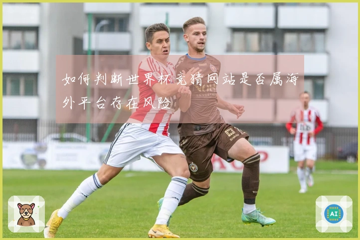 如何判断世界杯竞猜网站是否属海外平台存在风险