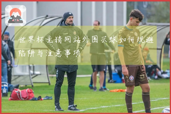 世界杯竞猜网站外围买球如何规避陷阱与注意事项